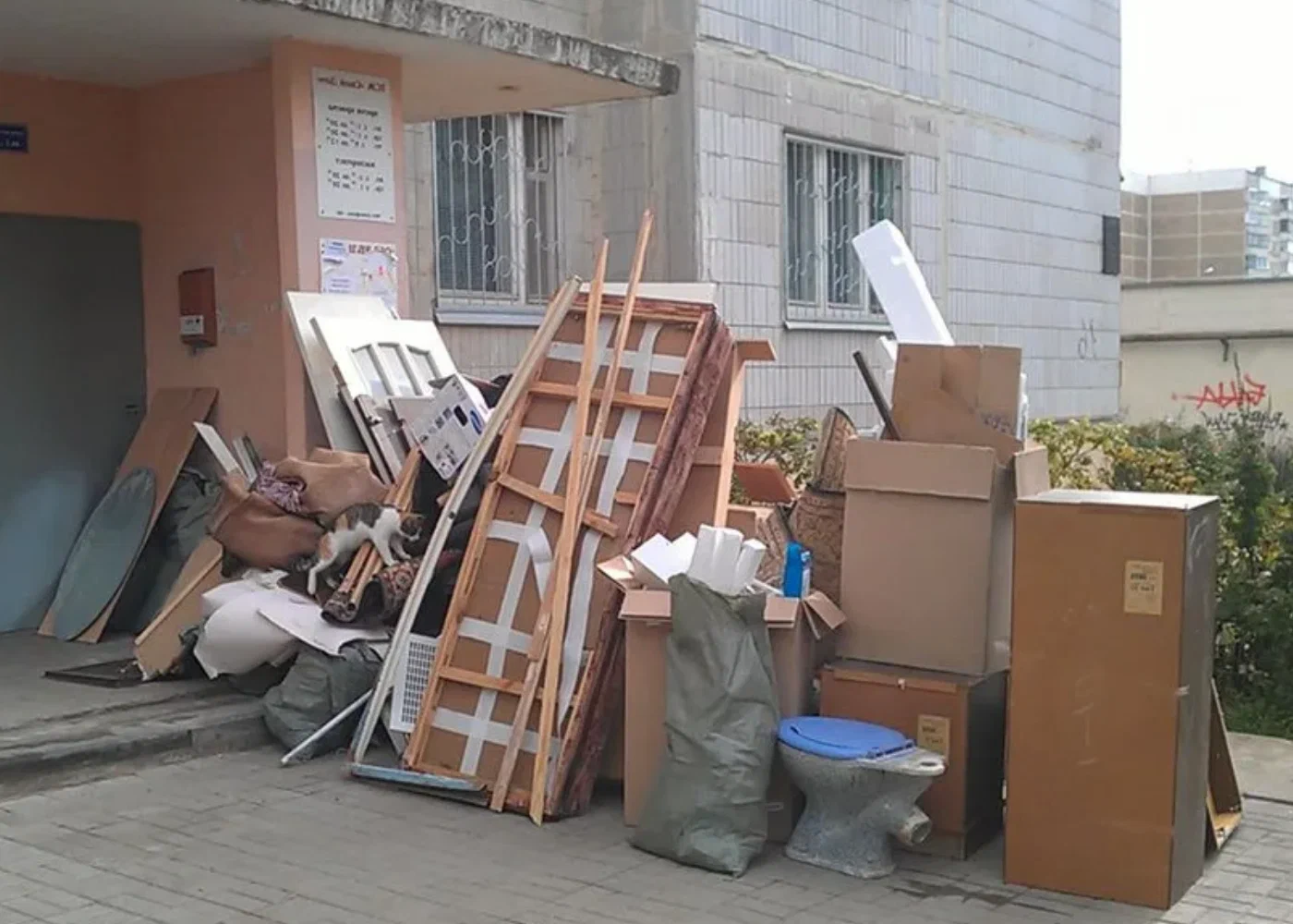Профессиональный вывоз мусора из квартиры в Ярославле в октябре