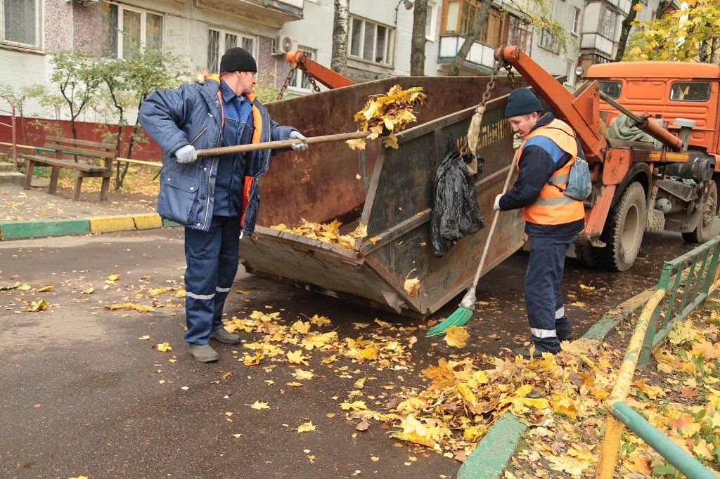 Вывоз опавшей листвы и растительного мусора в Ярославле от ПроМусор – цена от 4621 руб., быстрая уборка и утилизация